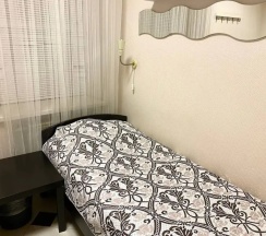 Двухместный номер Standard 2 отдельные кровати в Аристократ