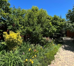 Номер стандарт улучшенный с 1 двуспальной кроватью в Диво