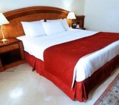 Двухместный люкс Deluxe (двуспальная кровать) в Triumph Plaza Hotel