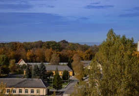 Апартаменты Апартаменты на Большая Окружная улица, 2Б в Зеленоградске