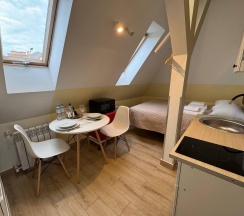 2-местный 1-комнатный номер студия стандарт (мансарда) в Апарт-отель