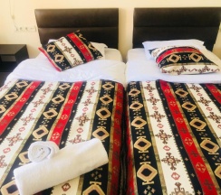 Двухместный номер Standard 2 отдельные кровати в The oldest Tbilisi
