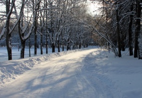 Хостел Архангельская дача в Звенигороде