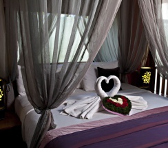 Люкс c 1 комнатой в Kanishka Villas