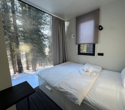 Стандарт в Телецкое Золотое