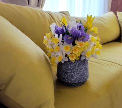 Люкс (DBL/SGL) в Никольское