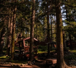 Дом 1 в Ёлки house