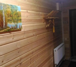 Коттедж стандарт в Васильевский дворик