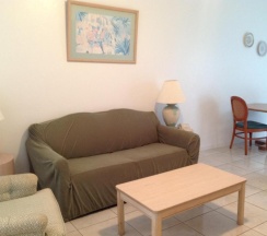 Апартаменты c 1 комнатой в Birch Patio Motel