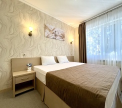 Номер комфорт с 1 двуспальной кроватью в Олимпия