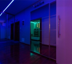 DELUXE – 290 в Gosh.rent