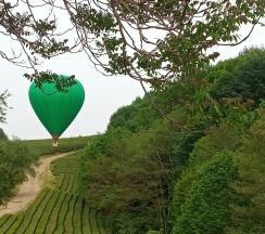 Двухместный номер с балконом в Country house