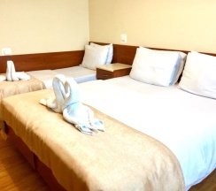 Стандартный трехместный номер в Эдельвейс