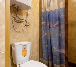 Стандартный номер с 1 кроватью в Номера в Петергофе