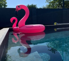 Шале Люкс в Белые ночи