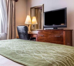 Двухместный номер Standard в Avion Inn Near LGA Airport, Ascend Hotel Collection