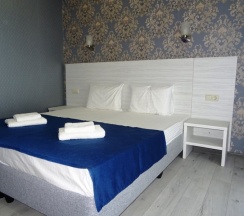 Двухместный номер Comfort с балконом 2 отдельные кровати в Слон