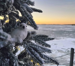Зеркальный дом в F911