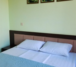 Двухместный стандарт в Улей