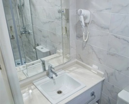 Одноместный номер Plus Standard в Almaty