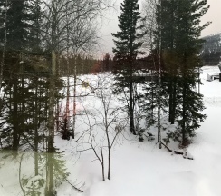 СТАНДАРТНЫЙ ДВУХМЕСТНЫЙ НОМЕР С ДВУСПАЛЬНОЙ КРОВАТЬЮ в Shoriya port