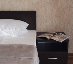 2-местный 1-комнатный номер люкс улучшенный в Ника