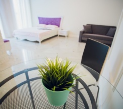Апартаменты в VIP-house