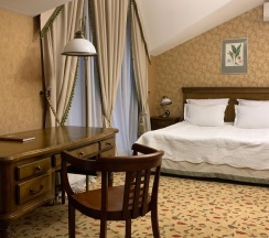 Номер полулюкс с 1 двуспальной кроватью в Барский флигель