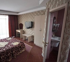 Двухместный полулюкс с балконом двуспальная кровать в 222