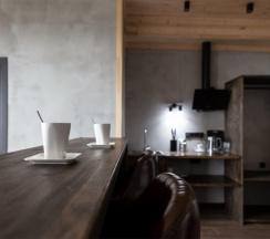Апартаменты двухместные в Granin house