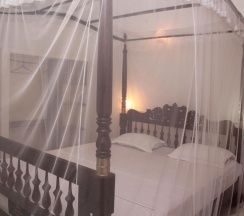 Двухместный номер Whale Watching Standard двуспальная кровать в Jaga Bay Resort