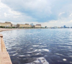 "Platinum" Однокомнатная квартира на набережной Невы (Метро Площадь Ленина/Новочеркасская, 5 минут на транспорте) в Rauktis apartments