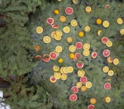 Barnhouse 4 | Баня и банный чан на территории в Берёзовая роща