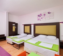 3-х местный без балкона в Диса