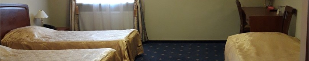 Стандартный трехместный в Тосно