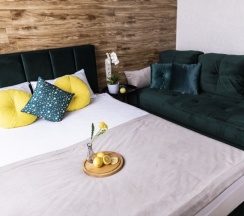 572 "Изумруд" Комфорт в Апартаменты-Пушкин