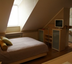 стандарт двухместный в The Volga house