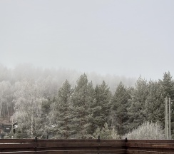 Бунгало улучшенное семейное в Бунгало Фиеста