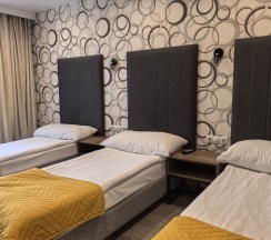 Стандарт трехместный в Рослеспром