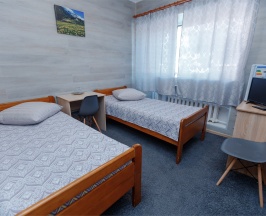 Стандарт TWIN 2/0 в Вояж