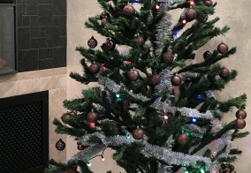 Апартаменты Оливия в Курской области