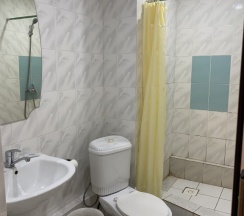 Полулюкс в Сапсан