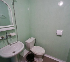 3-местный номер стандарт в Речная