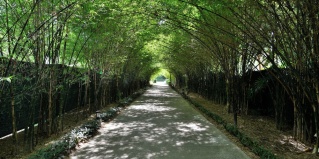 Саладан: Курортный отель Twin Lotus Resort and Spa SHA Plus Adult Only November April