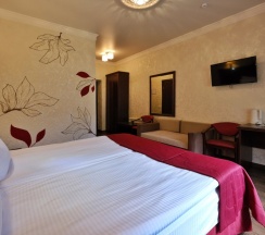 Двухместный номер Standard двуспальная кровать в Grand shale