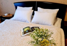 Апартаменты Много квартир на улице Орлова в Ульяновской области