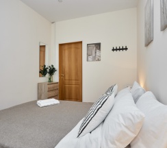 Двухместный номер Комфорт с двуспальной кроватью в Moi Smolny