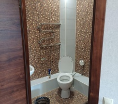 Номер полулюкс с 1 двуспальной кроватью в Медведефф на Пензу