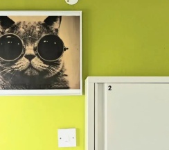 Кровать в общем номере (женский номер) в Lemongrass Hostel