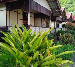 Бунгало с видом на море в Starlight Haad Rin Resort